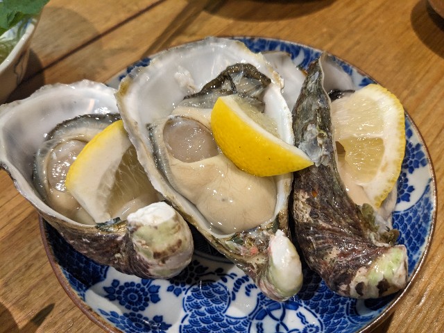 f:id:takeoki:20221220075920j:image