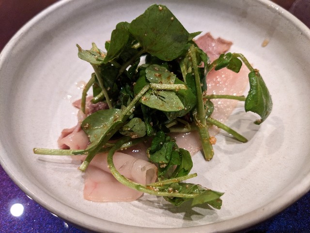 f:id:takeoki:20230227080341j:image