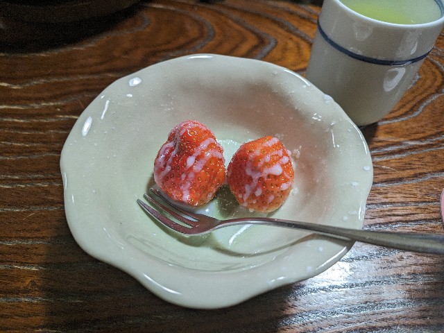 f:id:takeoki:20240306084656j:image
