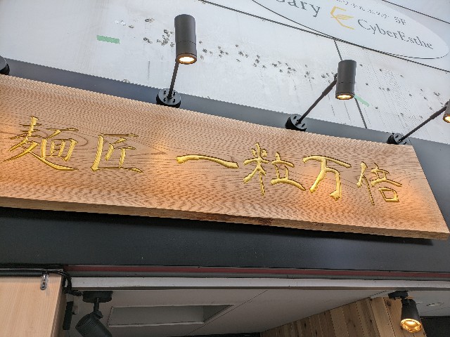 f:id:takeoki:20240604080919j:image
