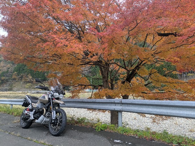 f:id:takeoki:20241203080621j:image