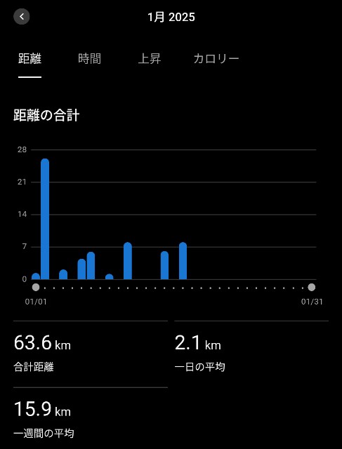f:id:takeoki:20250117080712j:image