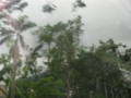20101215094512