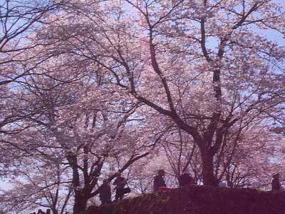 f:id:takeota:20161129233926j:plain f:id:takeota:20161129233926j:plain