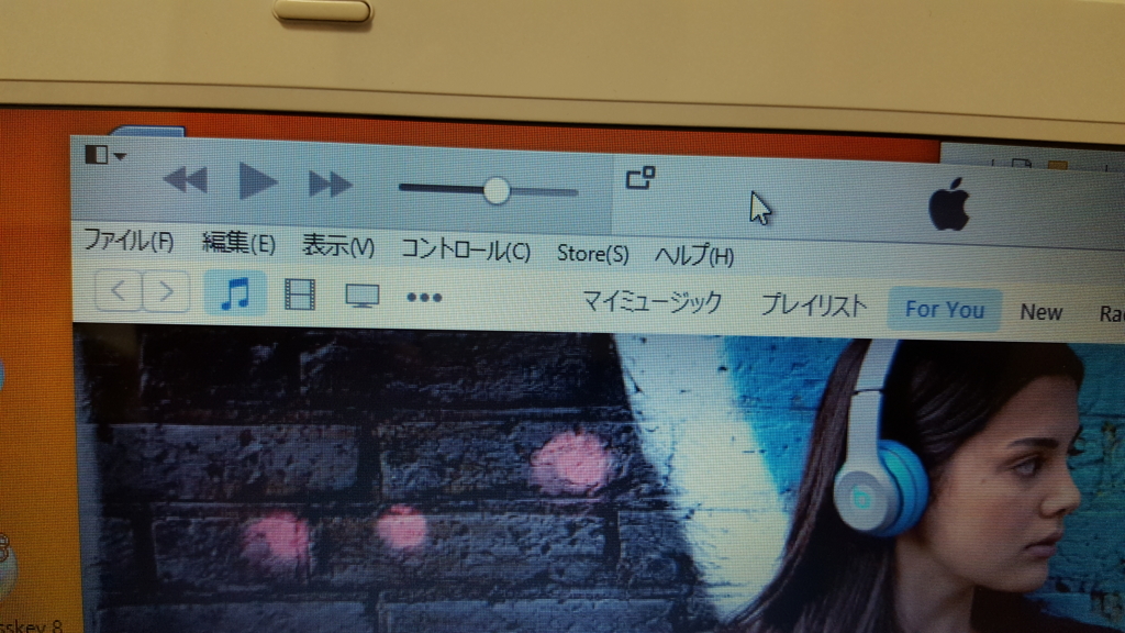 f:id:takepi-kakipi:20171003171321j:plain f:id:takepi-kakipi:20171003171321j:plain