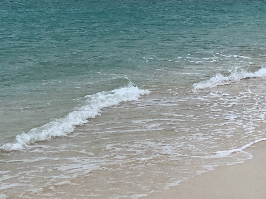 f:id:taker24:20190603195646j:image