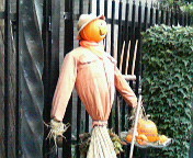 f:id:takeru-c:20061009165700j:image
