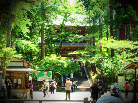 f:id:takeru-c:20090425121120j:image