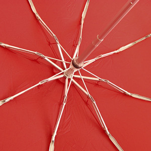 f:id:takeru-c:20100511004343j:image f:id:takeru-c:20100511004343j:image