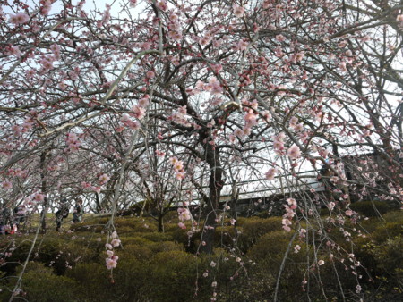 f:id:takeru-c:20110320144539j:image