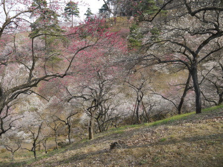 f:id:takeru-c:20110320145140j:image