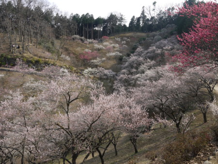 f:id:takeru-c:20110320145259j:image