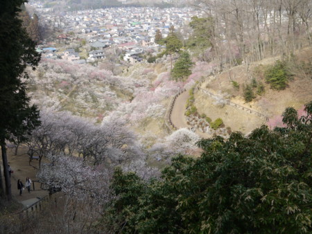 f:id:takeru-c:20110320145722j:image