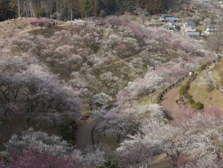 f:id:takeru-c:20110320150110j:image