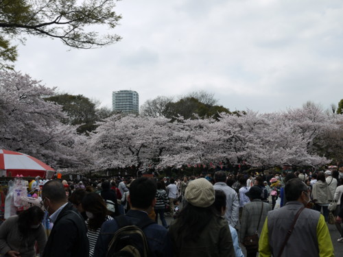 f:id:takeru-c:20110410120330j:image