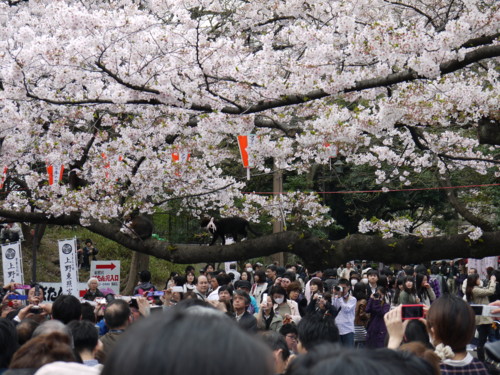f:id:takeru-c:20110410120532j:image