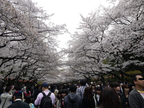 f:id:takeru-c:20110410120720j:image