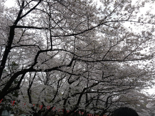 f:id:takeru-c:20110410120739j:image