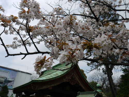 f:id:takeru-c:20110410121659j:image