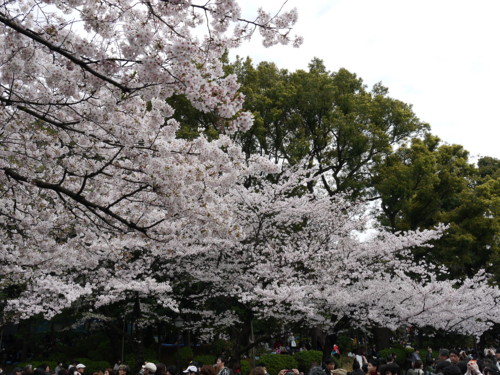 f:id:takeru-c:20110410123353j:image