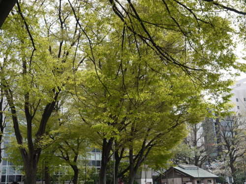 f:id:takeru-c:20110410130745j:image