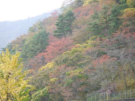 f:id:takeru-c:20111105123952j:image