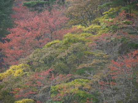 f:id:takeru-c:20111105124000j:image