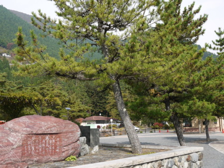 f:id:takeru-c:20111105124931j:image