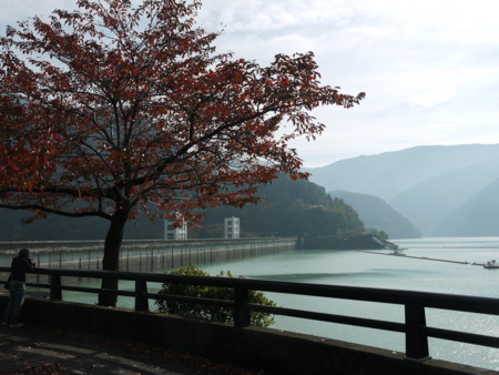 f:id:takeru-c:20111105125443j:image