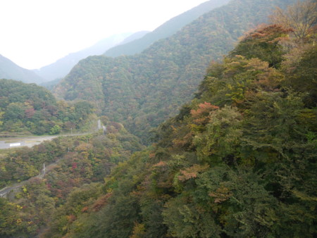 f:id:takeru-c:20111105130808j:image