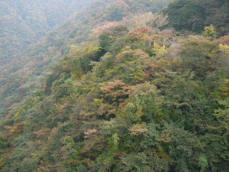f:id:takeru-c:20111105130841j:image
