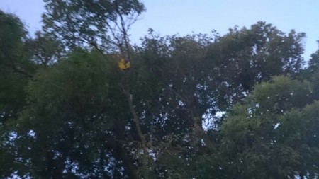 f:id:takeru-harada:20151204003054j:image:w360:left