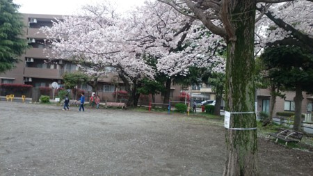 f:id:takeru-harada:20160405122204j:image:w360