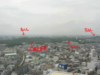 f:id:takerunba:20080617151815g:image f:id:takerunba:20080617151815g:image