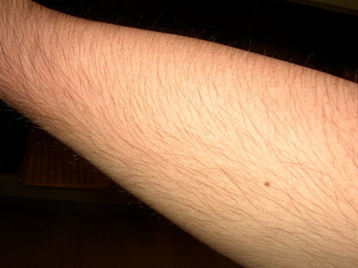 f:id:takerunba:20080618012327j:image