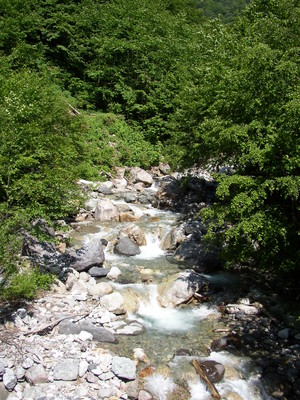 f:id:takerunba:20080618215538j:image f:id:takerunba:20080618215538j:image
