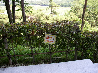 f:id:takerunba:20080618215558j:image f:id:takerunba:20080618215558j:image