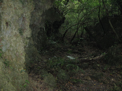 f:id:takerunba:20080918134715j:image