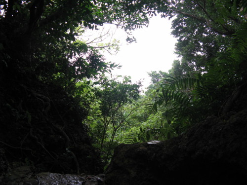 f:id:takerunba:20080918135533j:image