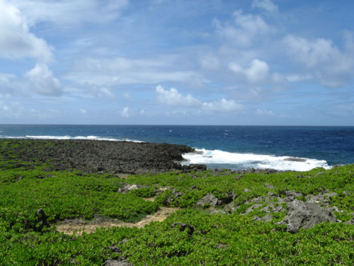 f:id:takerunba:20080919120420j:image