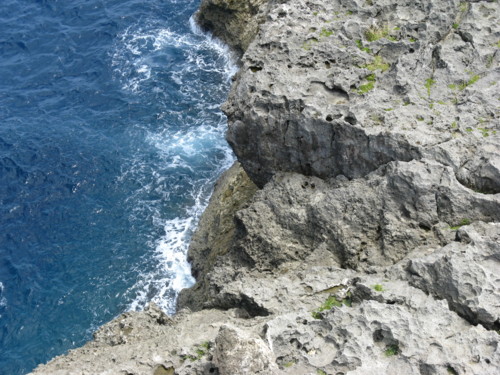 f:id:takerunba:20080919121651j:image