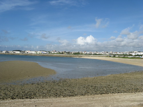 f:id:takerunba:20080919163548j:image