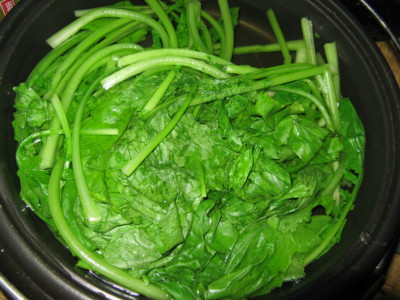 f:id:takerunba:20081016165220j:image f:id:takerunba:20081016165220j:image