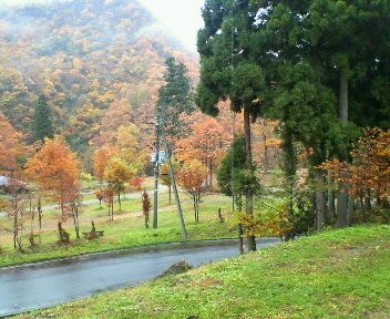 f:id:takerunba:20081116103948j:image