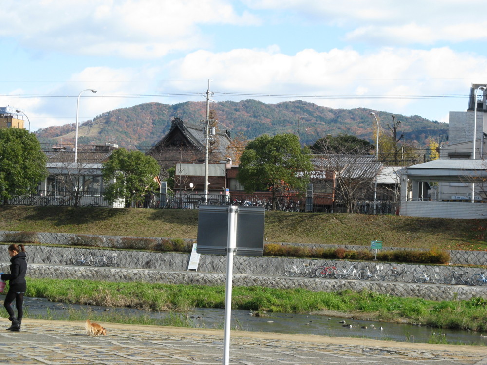 f:id:takerunba:20081207115951j:image:w500
