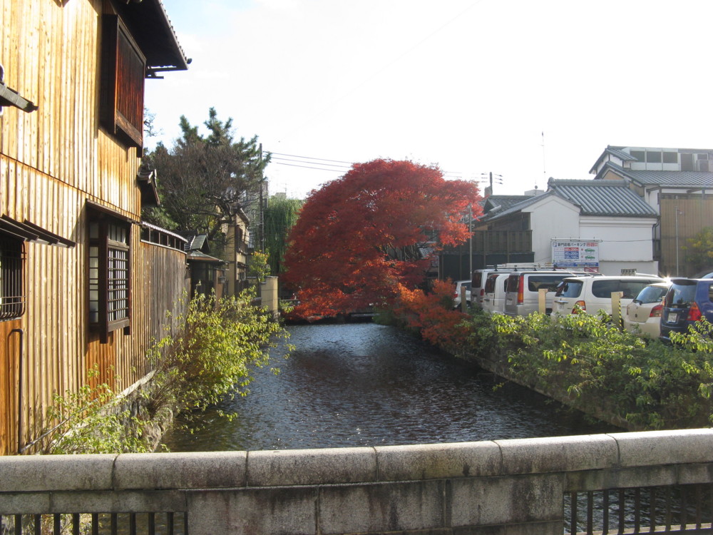f:id:takerunba:20081207143625j:image:w500