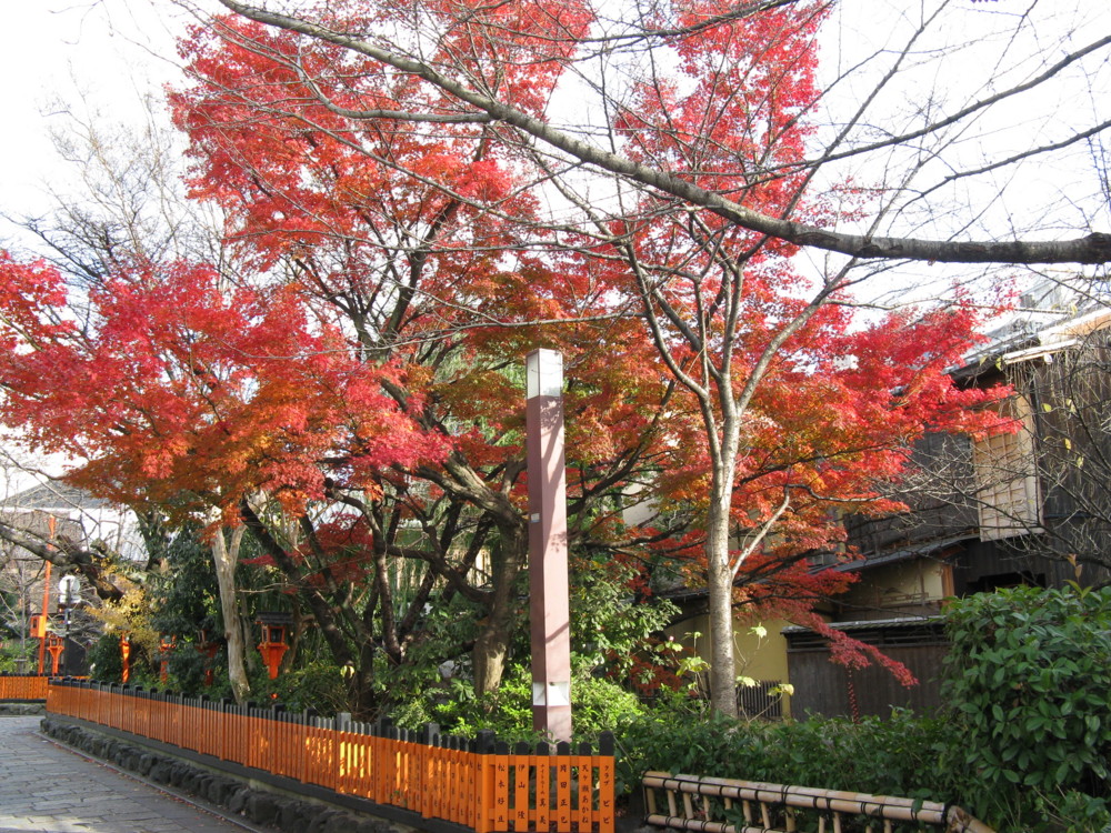 f:id:takerunba:20081207144022j:image:w500