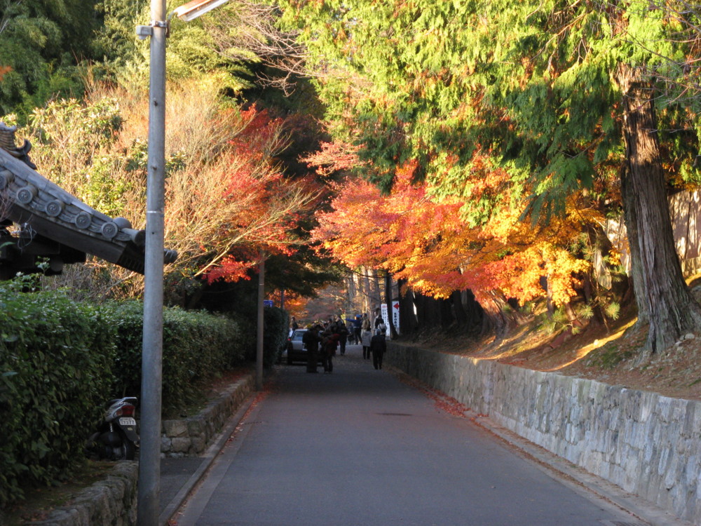 f:id:takerunba:20081207160334j:image:w500