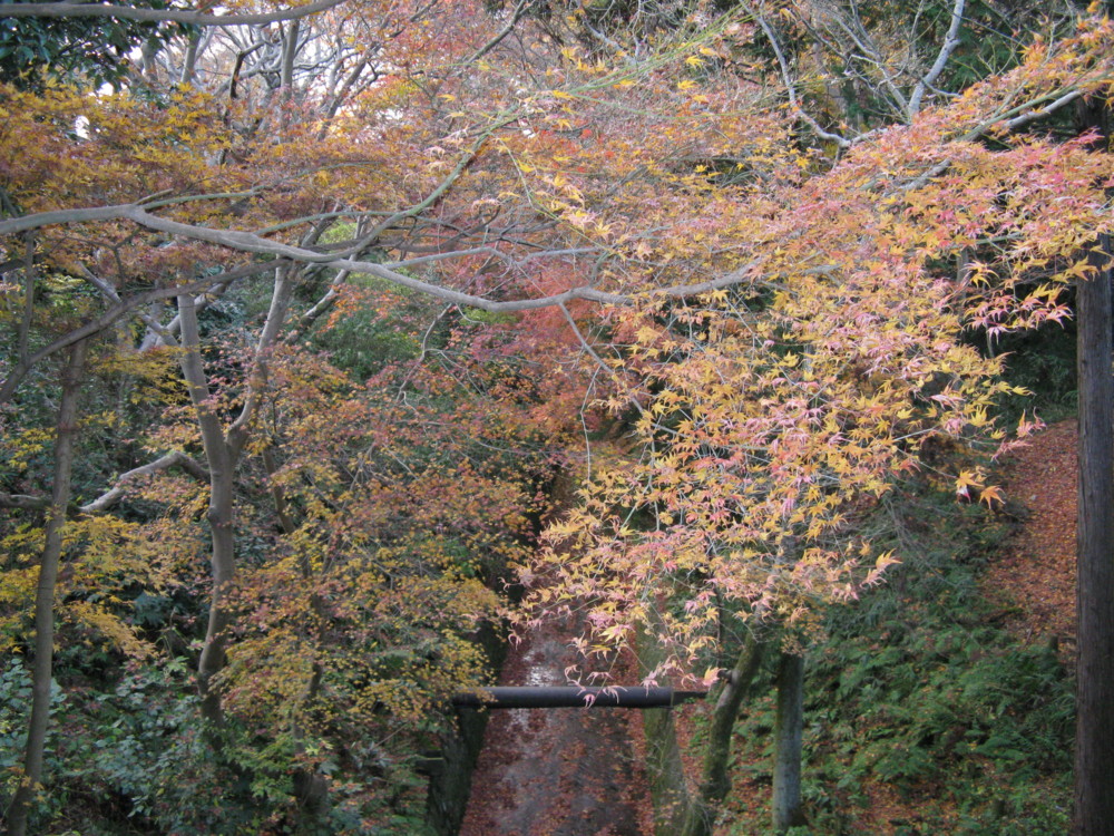 f:id:takerunba:20081207161208j:image:w500