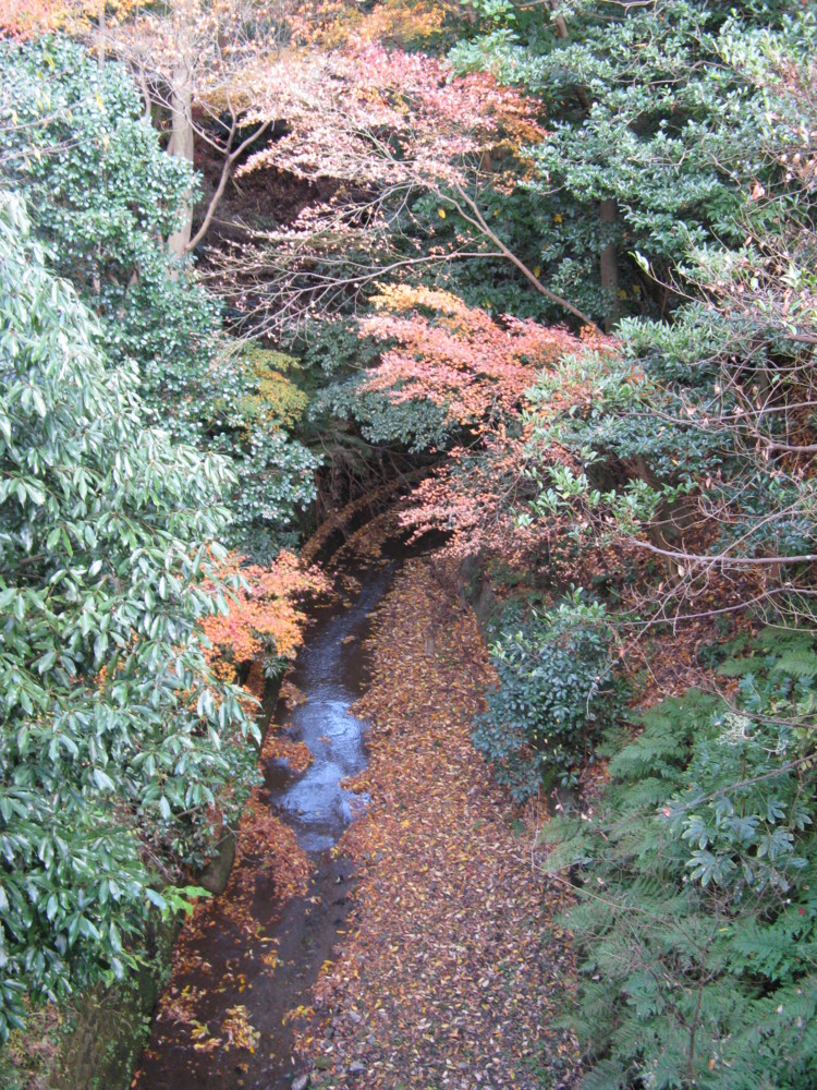 f:id:takerunba:20081207161220j:image:h500